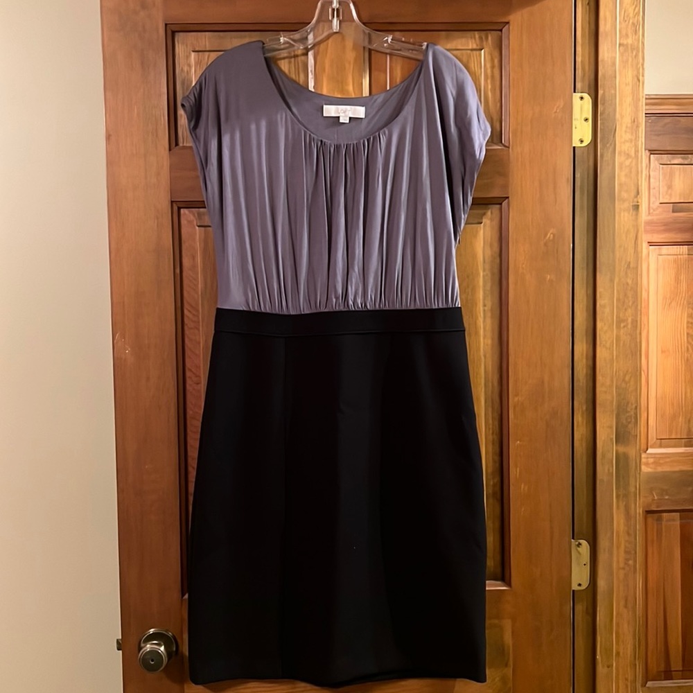 Elegant Two-Tone Dress